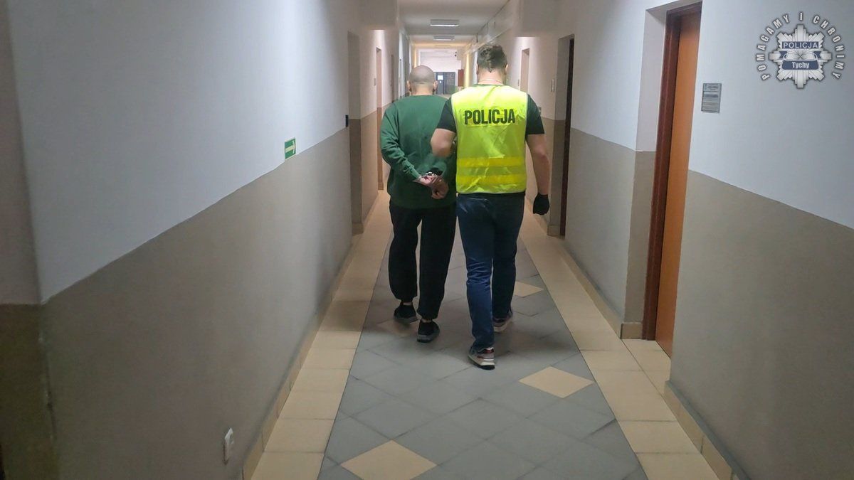 Fot. Licencjodawca