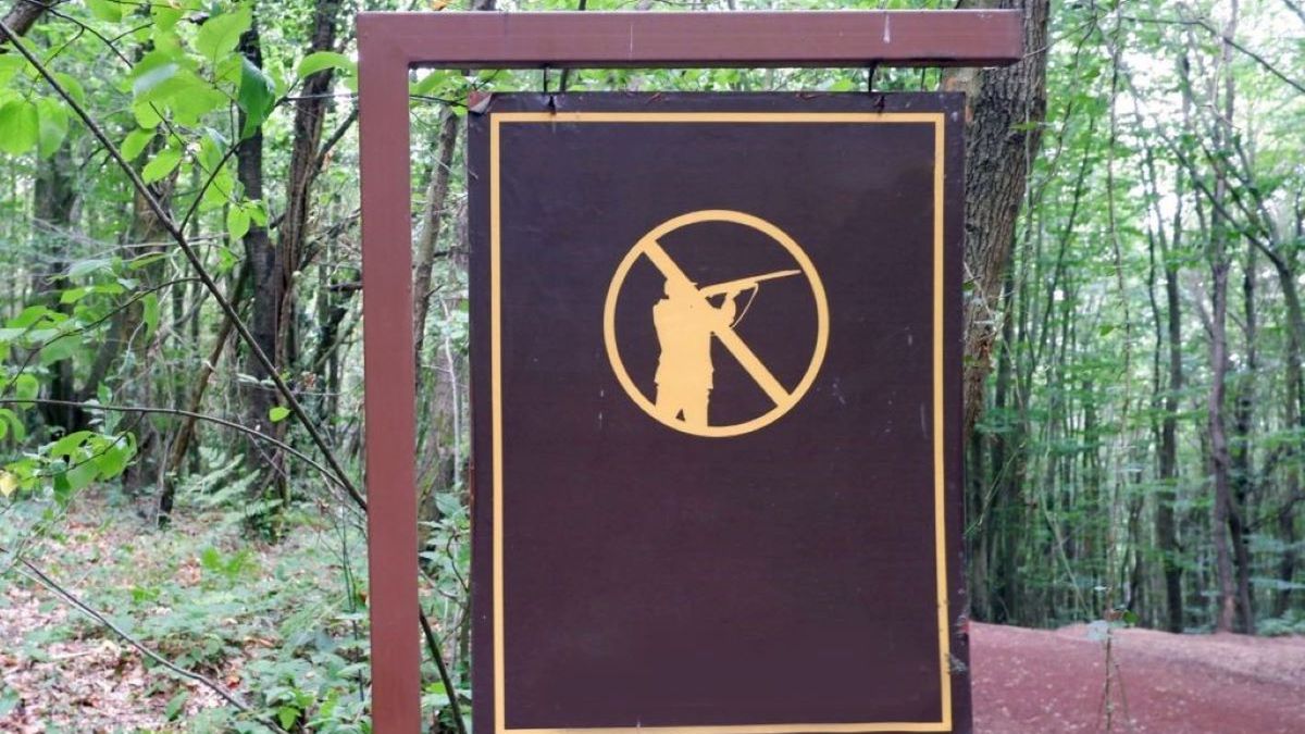 Myśliwi z terenów objętych stanem wyjątkowym chcą zmian 