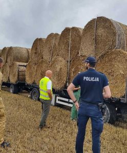 Policja odwiedza rolników. Ostatnie żniwa były fatalne w skutkach