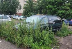Potrzebował insuliny, trafił do więzienia. Historia pana Leszka z Gliwic
