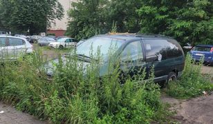 Potrzebował insuliny, trafił do więzienia. Historia pana Leszka z Gliwic