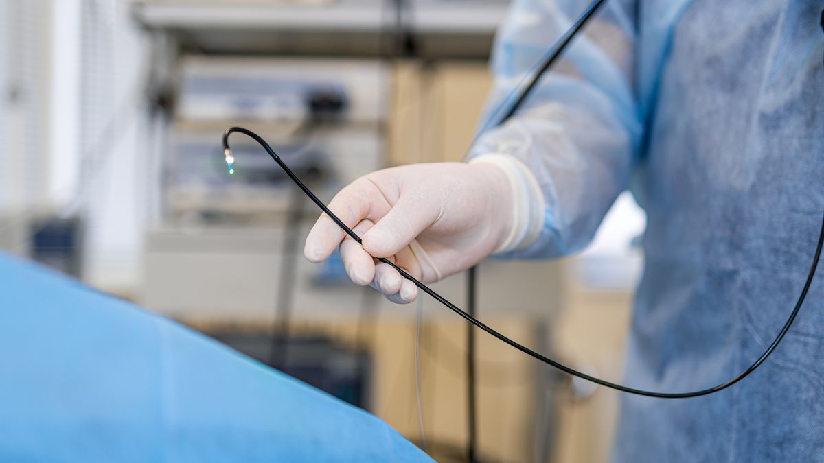 Manipulator digital endoscope for diagnostics of hollow organs, colonoscopy, gastroscopy