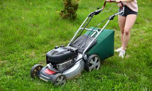 Jak często kosić trawę? Tak odpowiedzieli naukowcy z UJ