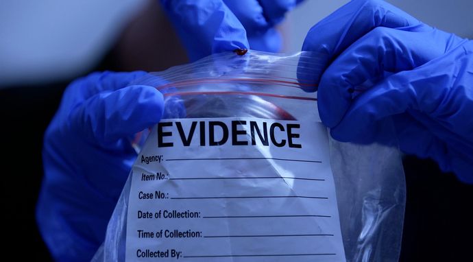 Zbrodnia prawie doskonała 2