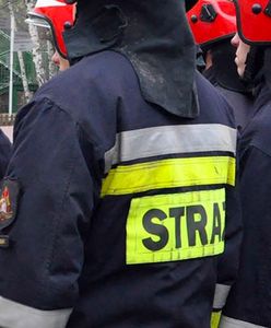 Warszawa. Ogień na Pradze-Południe. Śmierć poniosło starsze małżeństwo