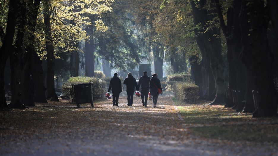 Objawy COVID-19 mogą być uzależnione od niedoboru witaminy D