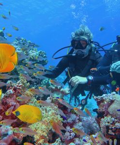 Bajeczne rafy koralowe u wybrzeży Egiptu. Jest sposób na ich podziwianie bez wchodzenia do wody