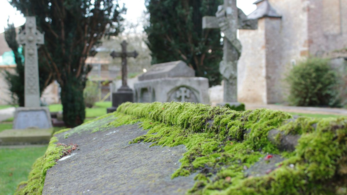 Cmentarz - zdjęcie poglądowe