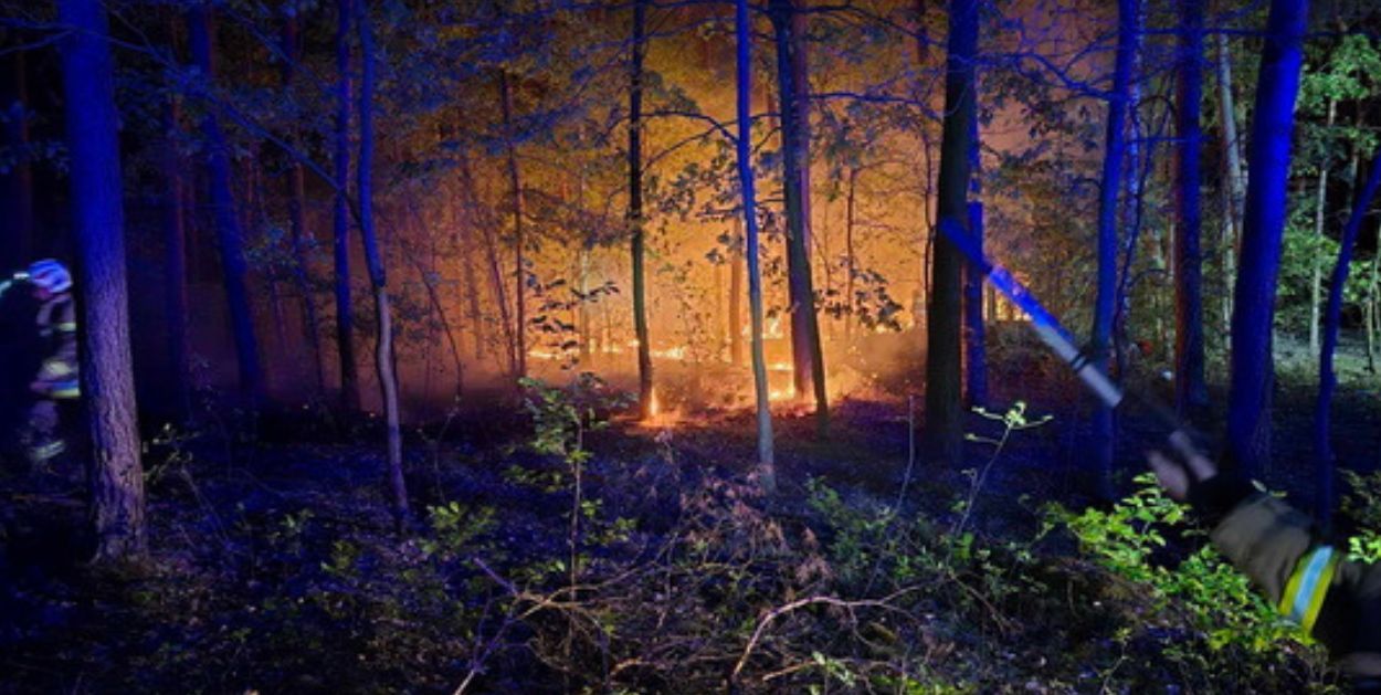 Pożar lasu w Budach Kraszewskich - zagrożenie pożarowe lasów!