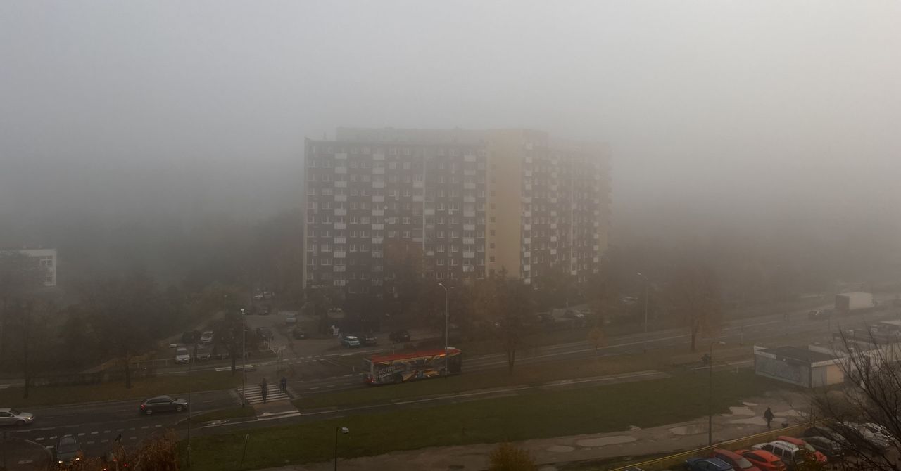 Dolny Śląsk: Niebezpiecznie na drogach. Synoptycy ostrzegają przed gęstą mgłą. Można kroić nożem