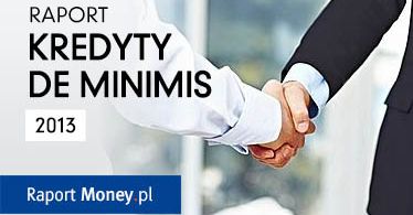 Raport o kredytach de minimis