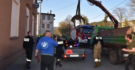 Mieroszów. Łania ocalona. Uciekała przed wilkami, utknęła w rzece
