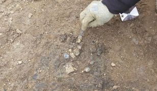 Sensacja archeologiczna na budowie. Odkrycie z VII wieku jest warte fortunę