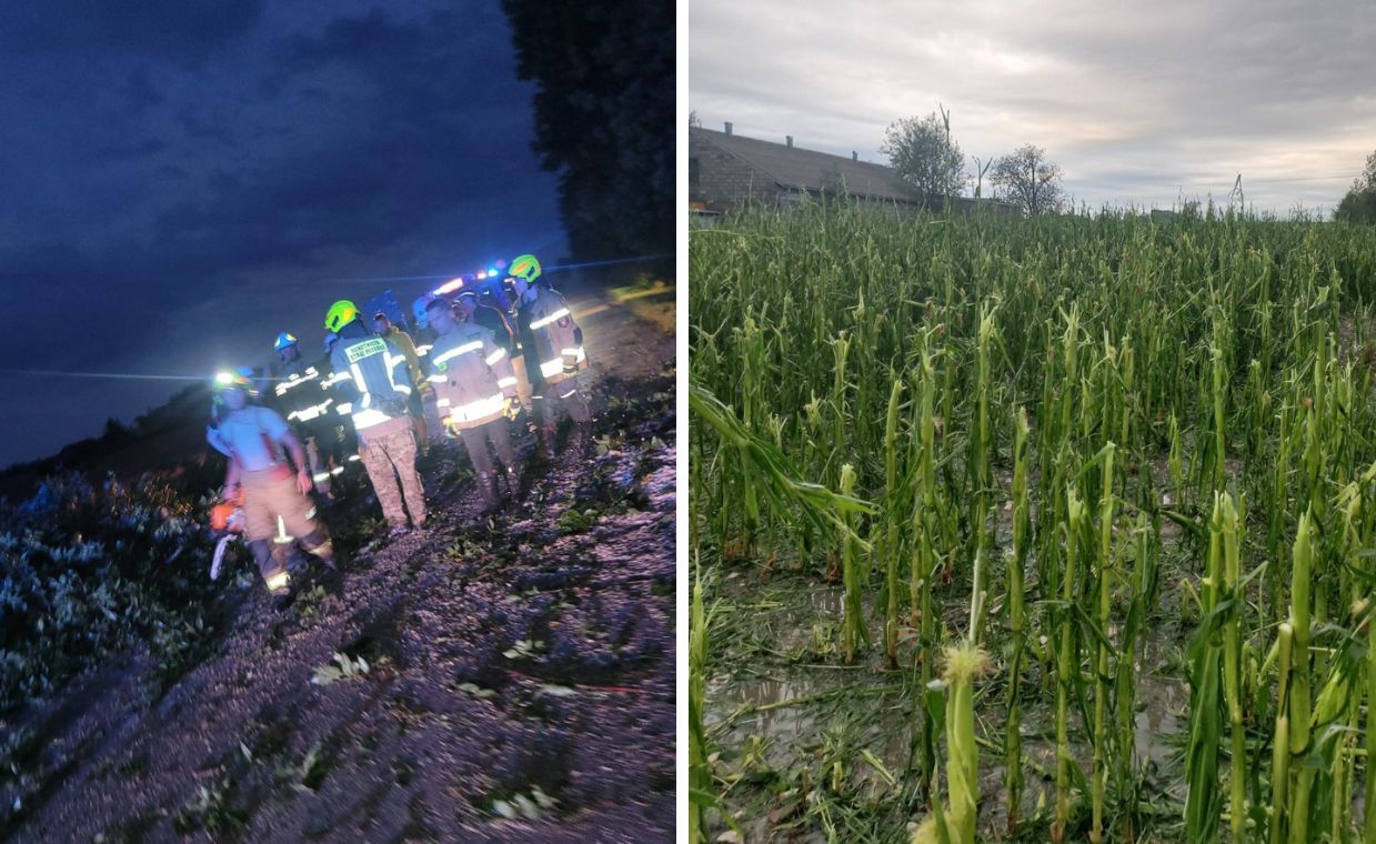 "Tam już nic nie zostało". Horror u rolników trwał równo 15 minut