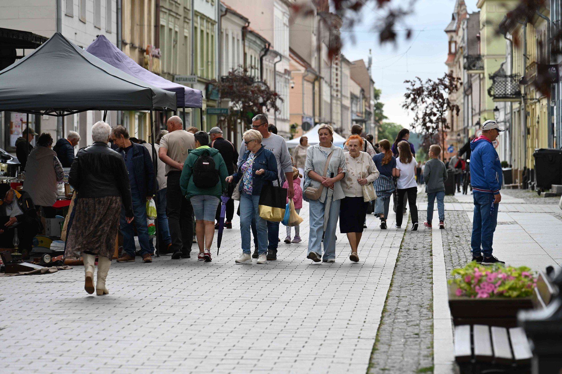 Jarmark Jaszczurczy - tak było 12 lipca 2025 r. w Chełmnie