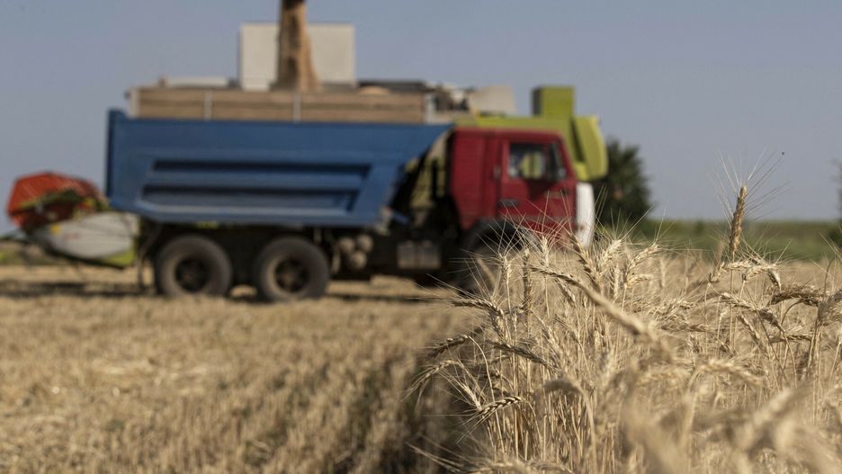 ?niwa w obwodzie odeskim
ODESSA, UKRAINE - JULY 04: A farm implement harvests grain in the field, as Russian-Ukrainian war continues in Odessa, Ukraine on July 04, 2022. In the Odessa region, where the country's largest sea ports are located, 6 million tons of grain are kept in three ports for export due to the ongoing war and naval mines. Despite the fear of attack, people in villages along the battle lines in eastern Ukraine do not leave their wheat fields while the war between Russia and Ukraine continues. Metin Aktas / Anadolu Agency/ABACAPRESS.COM
AA/ABACA