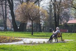 Bielsko-Biała. Obywatele postawili na zielone. Powstaną mini parki i tor do biegów