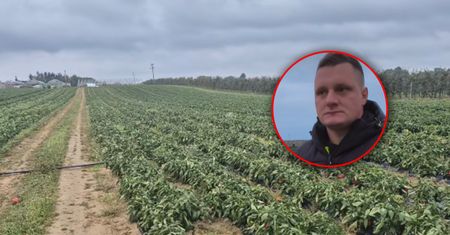 Rolnik rozdał 60 ton papryki. Teraz zabrał głos