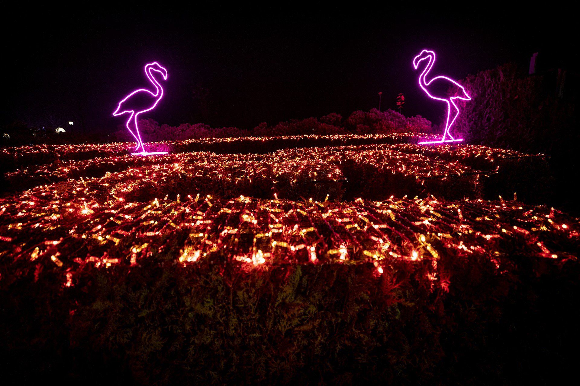 Tysiące świateł rozświetla Legendię