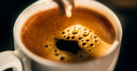 "Laptopy z ekranami przynosili". Wspomina otwarcie na Wilanowie