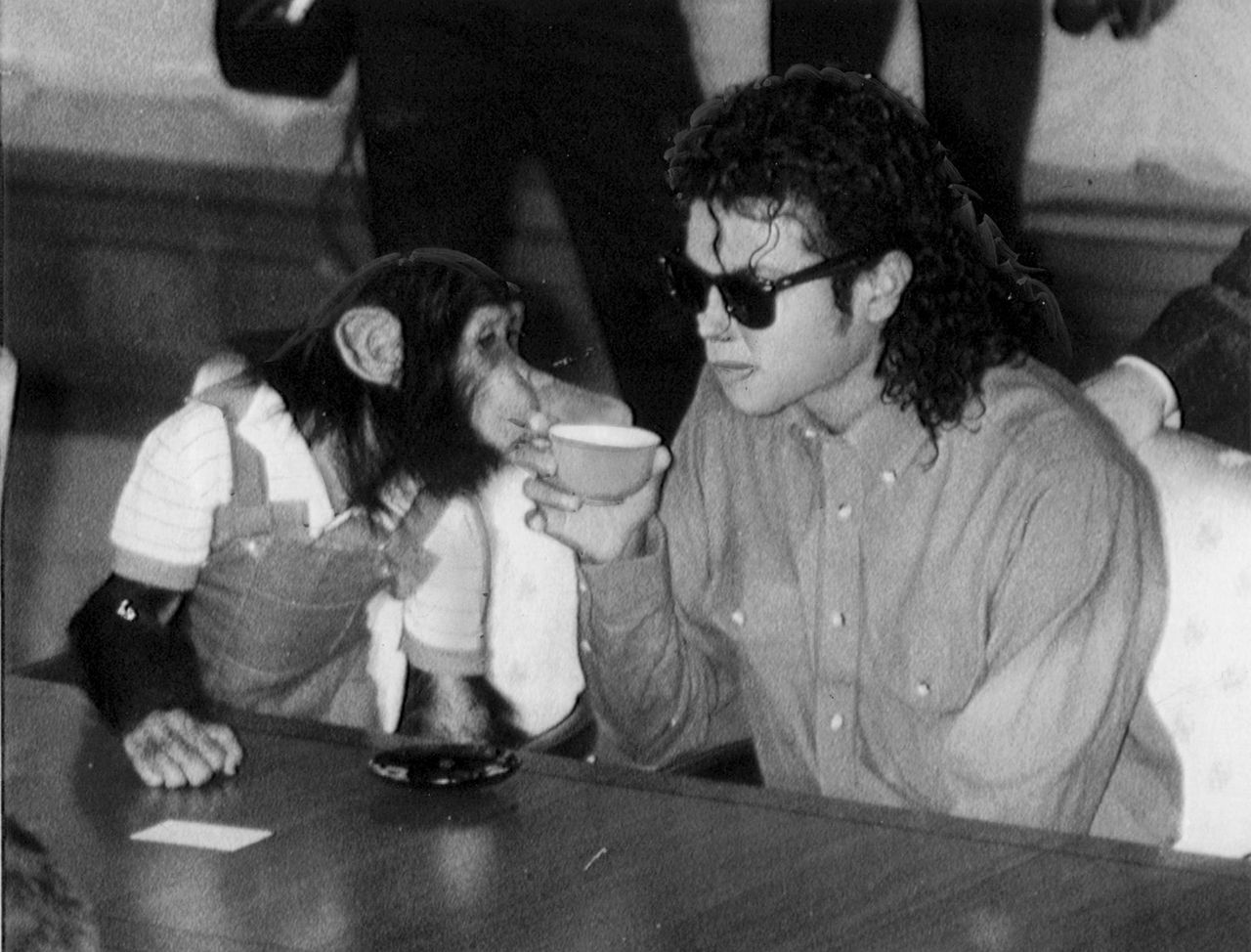 Michael Jackson's beloved chimp Bubbles enjoys a lavish retirement
