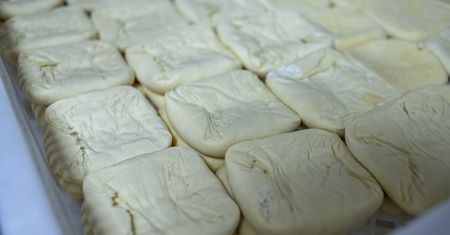 Mało popularne w Polsce. Naturalna tarcza obronna dla trzustki