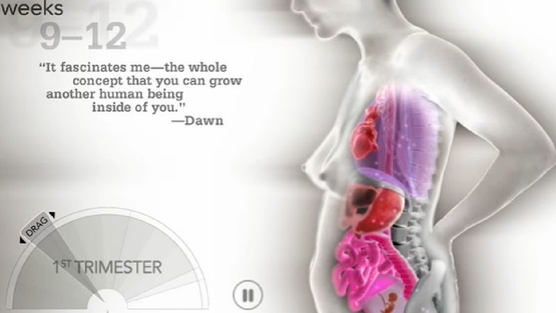 Oto, co naprawdę dzieje się w organizmie kobiety w czasie ciąży 