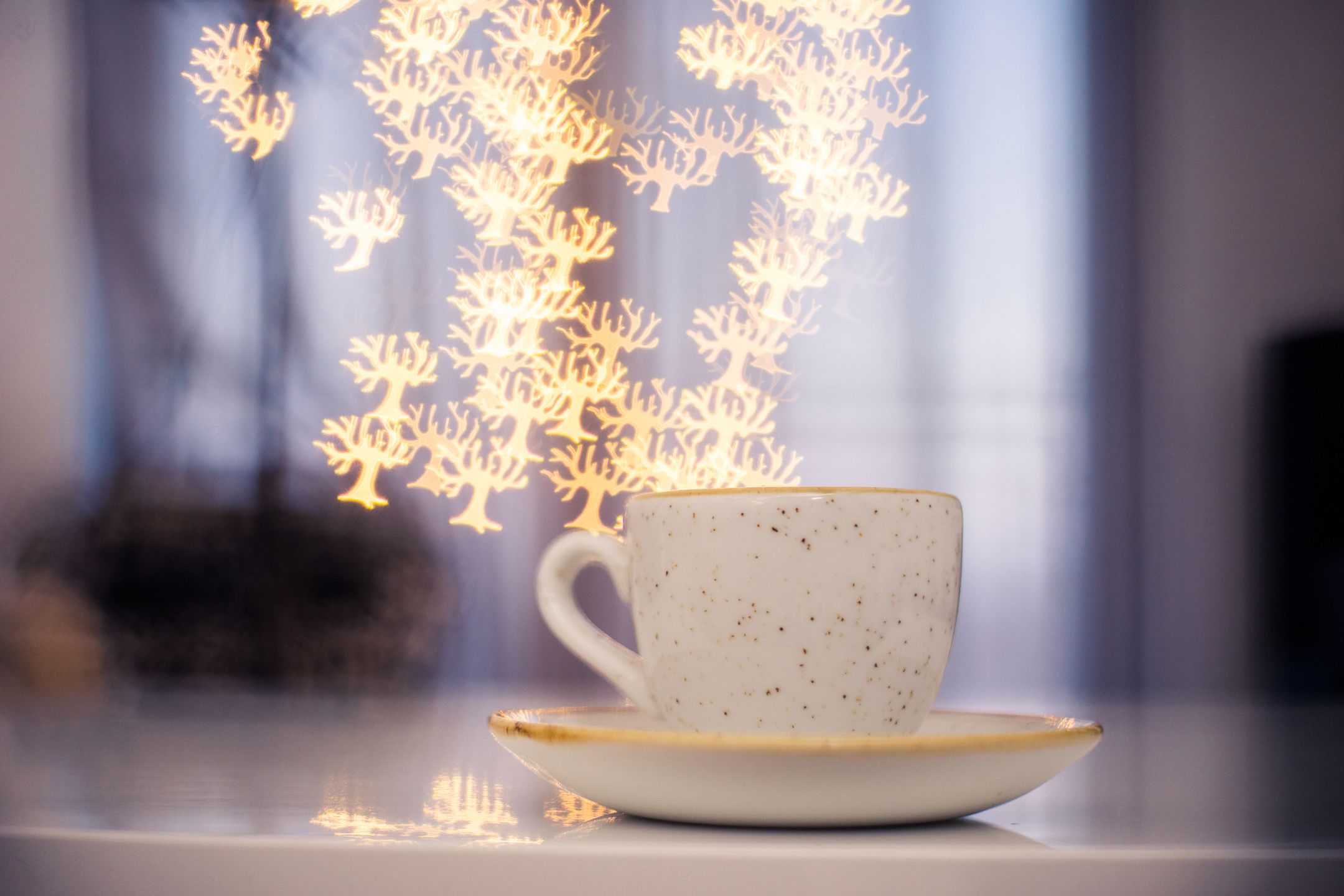 Co to jest bokeh? Jak łatwo uzyskać na zdjęciach piękny bokeh? [Poradnik] 12