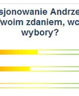 Internauci podzieleni ws. wcześniejszych wyborów