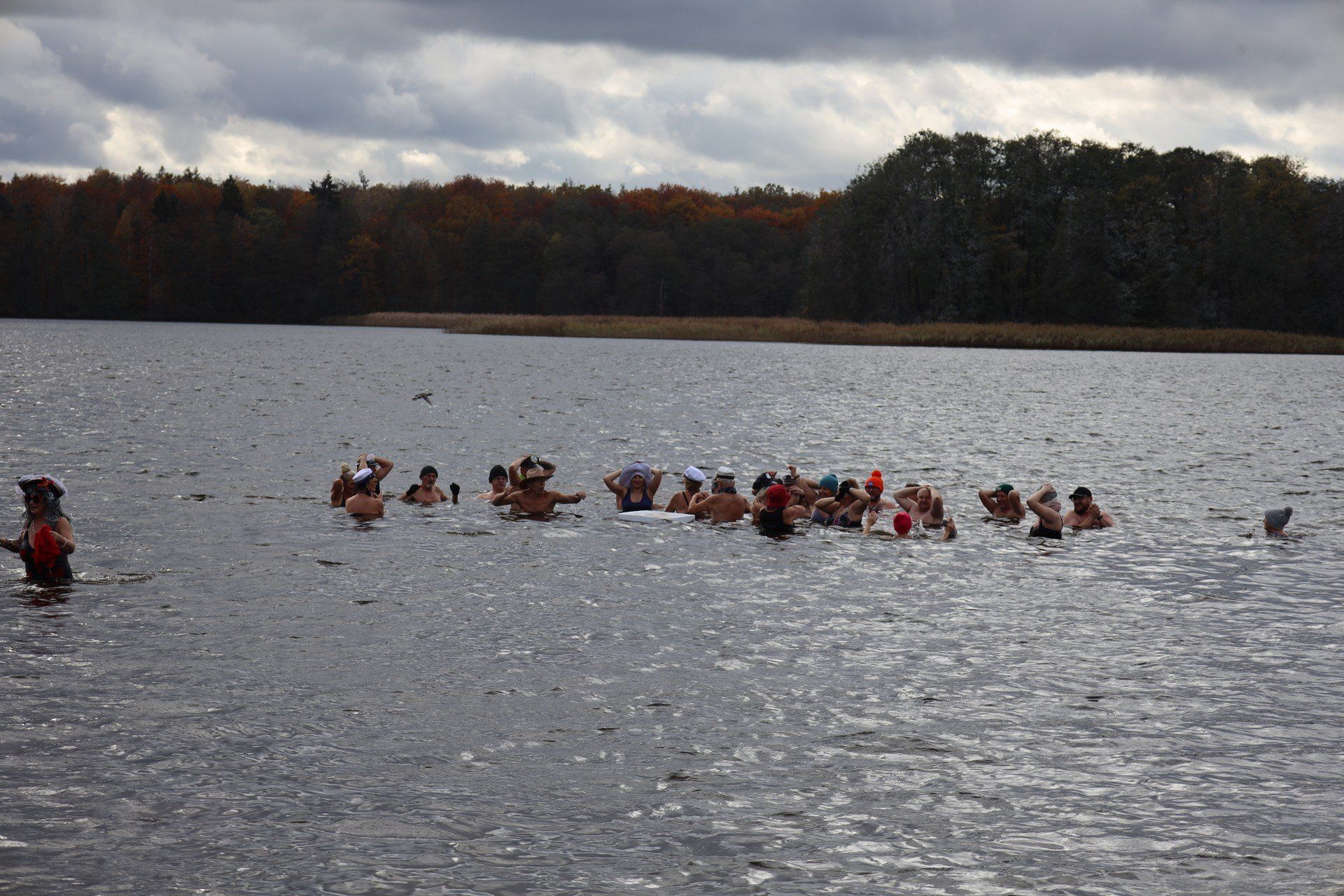 Kąpiel szczecineckich morsów