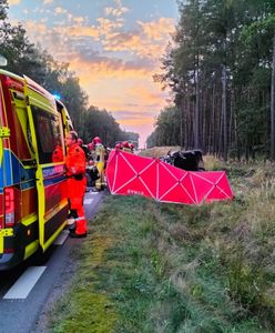 Koszmarny wypadek koło Leszna. Na drogę wbiegł jeleń