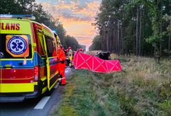Koszmarny wypadek koło Leszna. Na drogę wbiegł jeleń