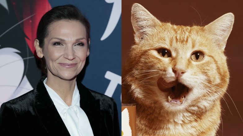 Wystrojona Olga Bończyk pozuje na evencie KOCIEJ KARMY (ZDJĘCIA)