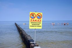 Sinice opanowały Bałtyk. Zakaz kąpieli na 17 plażach