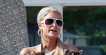Paris Hilton zna się na... szopach!