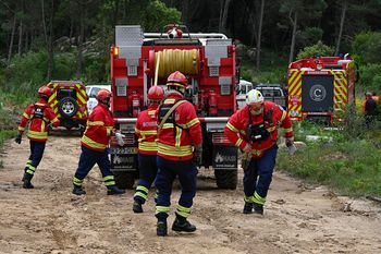 Pożary w Portugalii. Trzech strażaków zostało rannych