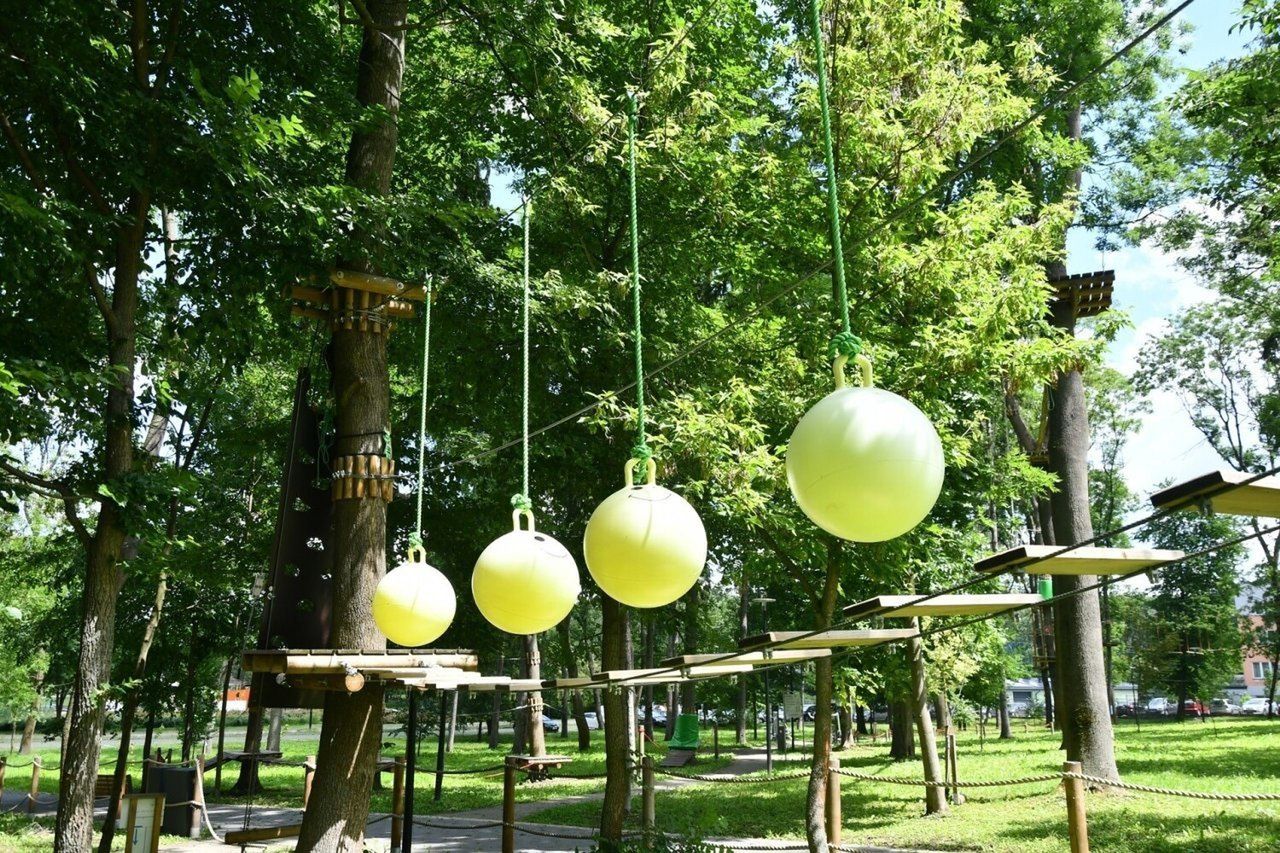 Park linowy &#34;Małpi Gaj&#34; w kilka tygodni po otwarciu. Zdjęcia z czerwca 2022 roku. Jego dalszy los, według dendrologów, ma być niepewny. 