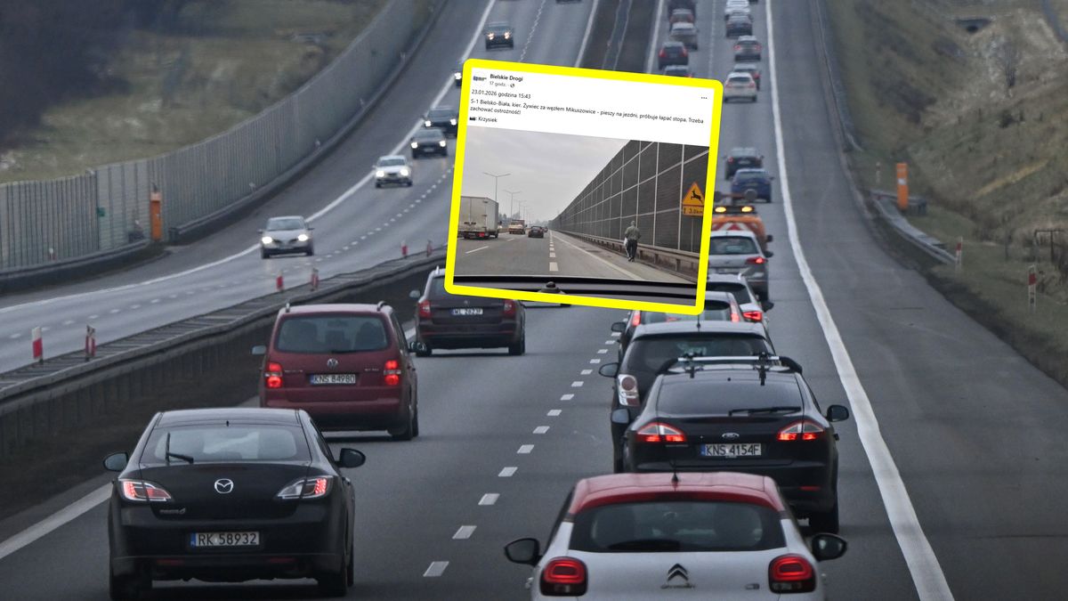 Szedł trasą S1. Zdjęcie trafiło do sieci.