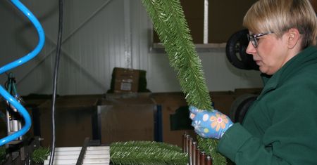 Polskie choinki zalewają świat. Sprawdziliśmy, gdzie powstają