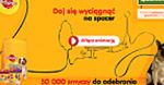 Gdzie na spacer z psem? Wartość dodana promocji Pedigree