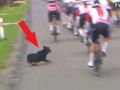 O krok od dramatu na Tour de Pologne. Kamery wszystko nagrały