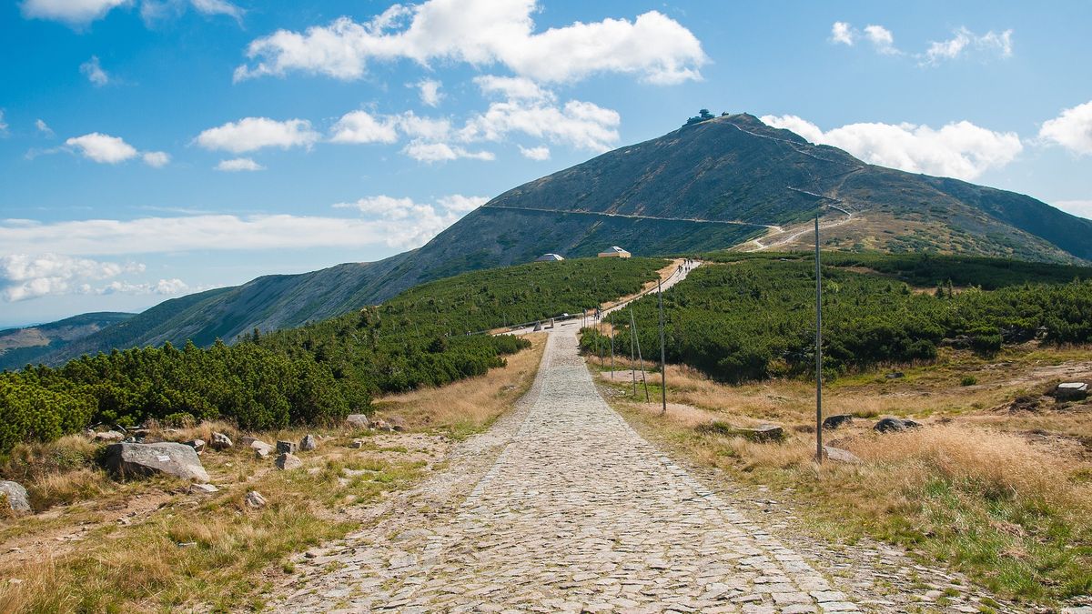 Na śnieżce pojawiają się nowe gatunki roślin 