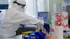 Koronawirus. Sanepid: Polski trener zaraził się chorobą w USA