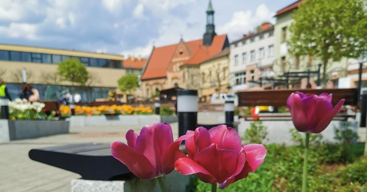 Chrzanów: Trwa głosowanie na Chrzanowski Budżet Obywatelski 2026. Jakie zadania zgłosili mieszkańcy?