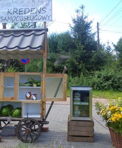 Wrocław. Porzucili życie w mieście, by założyć gospodarstwo. Sprzedają swoje produkty