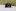 Sony A7 IV: Pierwsze wrażenia i zdjęcia przykładowe [TEST]