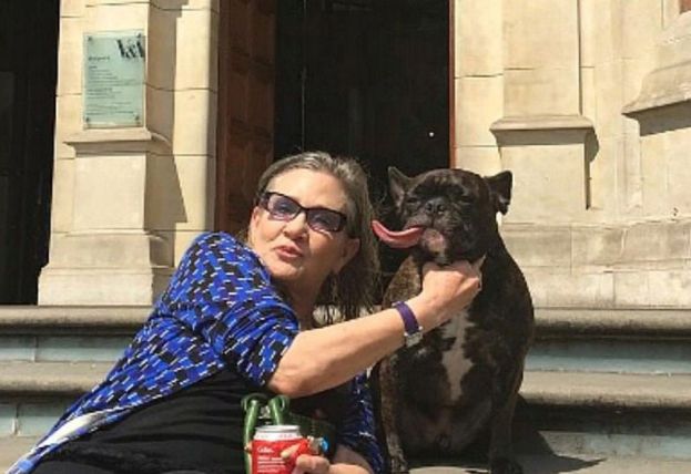 Obraz