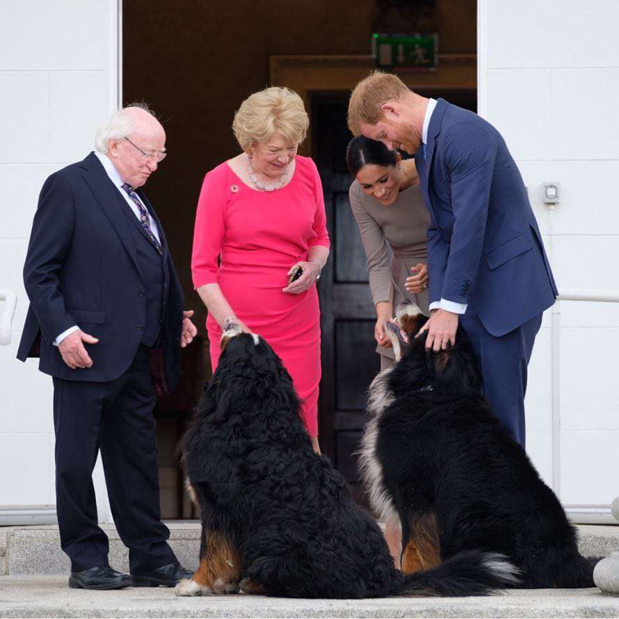 Meghan Markle i książę Harry na spotkaniu z prezydentem Irlandii