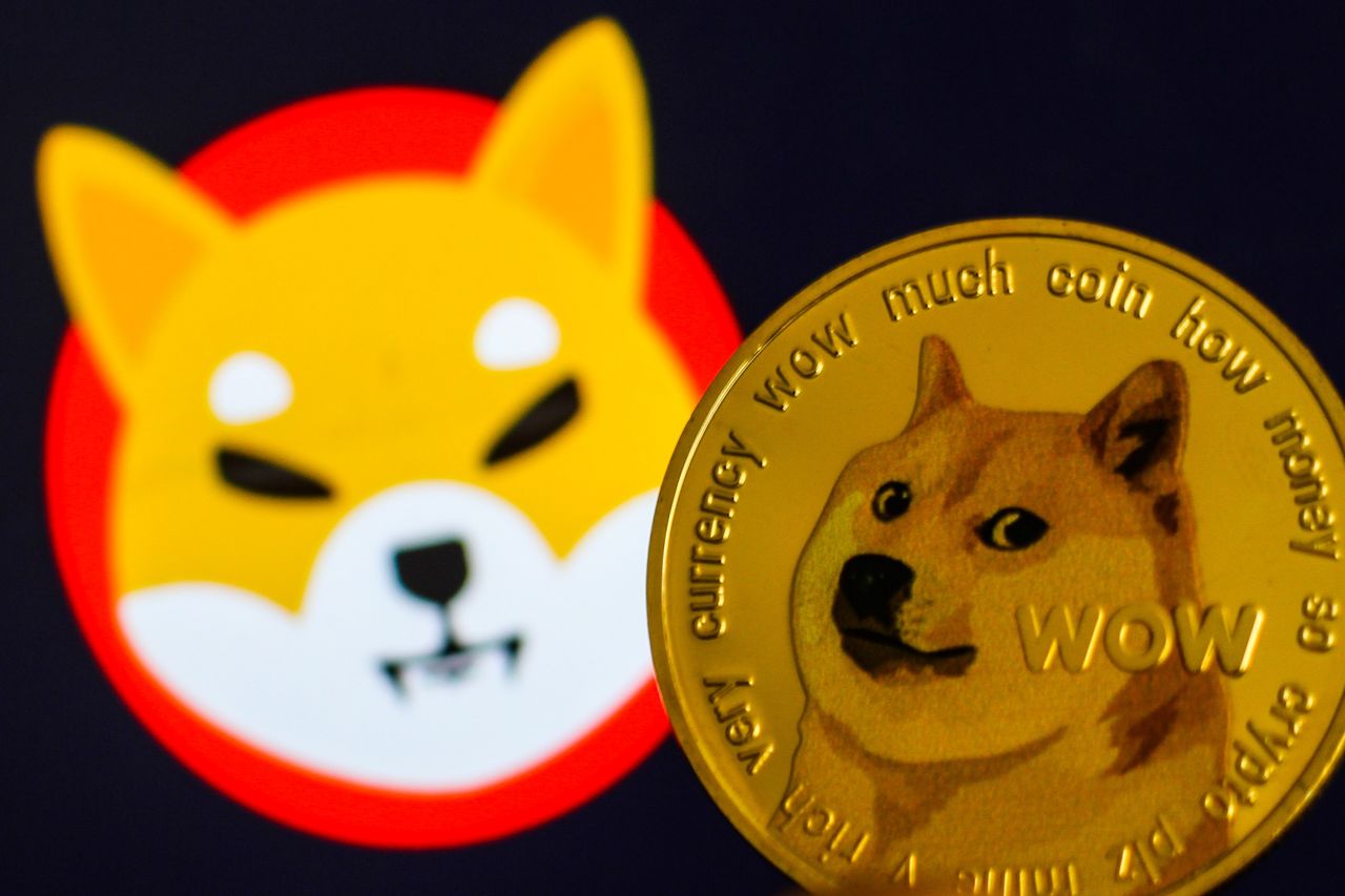 Shiba Inu osiąga ogromne wyniki. Właściciele kryptowaluty stali się milionerami