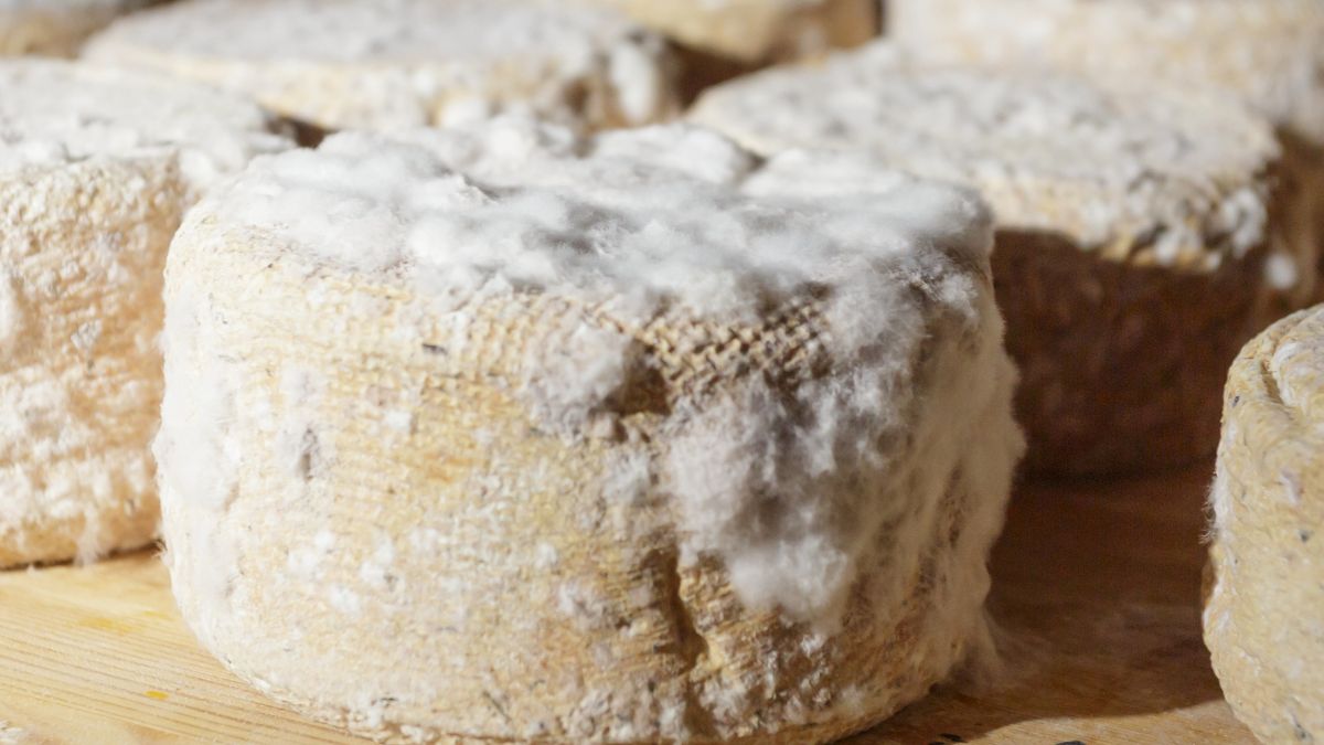 Dla wielu osób to może być lepszy wybór